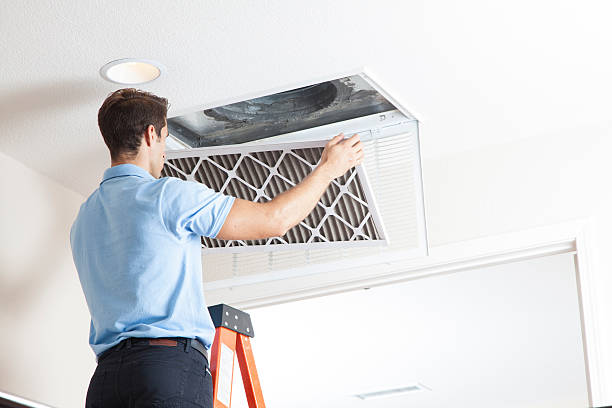 Best Air Filters and Purifiers in Victorville, CA